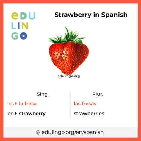 mida in spanish|strawberry in spanish.
